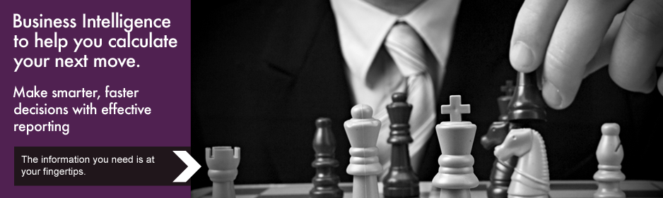 Sage Accpac Business Intelligence