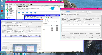 Sage 300 ERP Color Code Companies