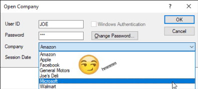 Sage 300 Security