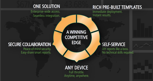 Sage Enterprise Intelligence 2