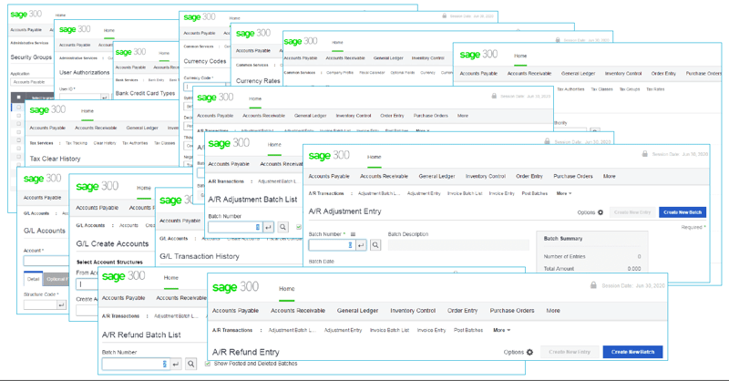 Sage 300 Web Screens