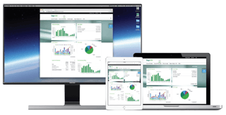 Sage 300 Options - Hosted Online or On-Premise